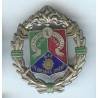 1° Régiment Etranger de Cavalerie , vert fonçé, sans attache