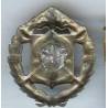 1° Régiment Etranger de Cavalerie , vert fonçé, sans attache