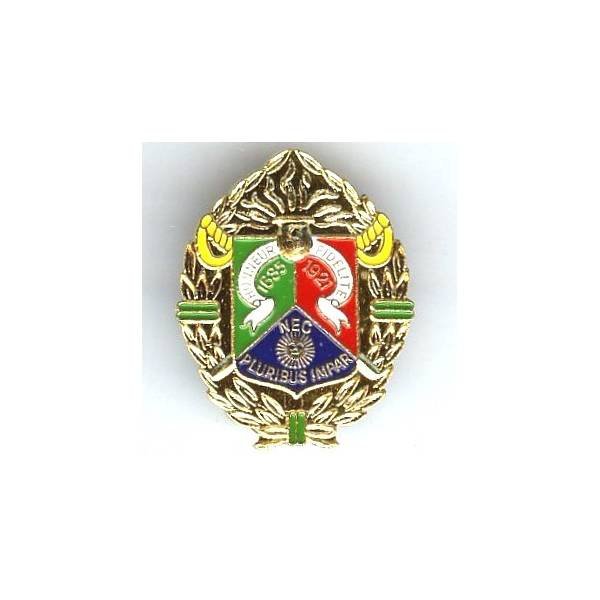 1° Régiment Etranger de Cavalerie , fond plein, doré, peint, attache pin's