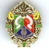 1° Régiment Etranger de Cavalerie , fond plein, doré, peint, attache pin's