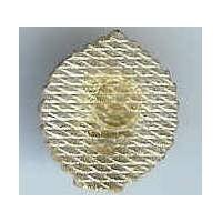 1° Régiment Etranger de Cavalerie , miniature 16x18, émail, à coller (briquet..)