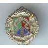 1° Régiment Etranger de Cavalerie , miniature 16x18, grand feu, épingle de cravate