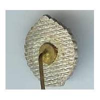 1° Régiment Etranger de Cavalerie , miniature 16x18, grand feu, épingle de cravate