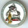 2° REG / Cie de Commandement et Logistique, gris clair