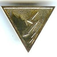 2° REP / 4° Cie / Brevet de...