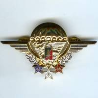 2° REP / Brevet d'...