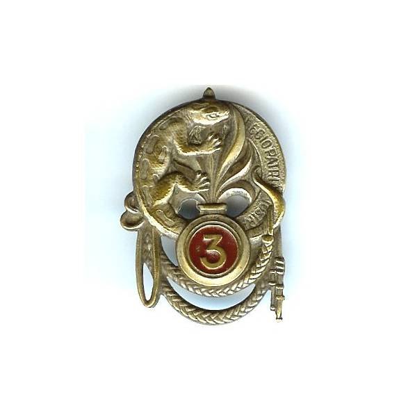 3° Régiment Etranger d'Infanterie , salamandre, ajouré, peint, attache remplacée