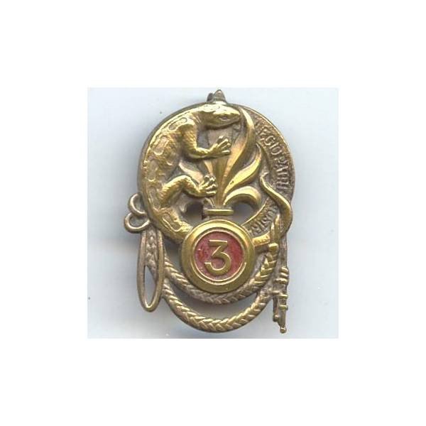 3° Régiment Etranger d'Infanterie , salamandre, peint, attache ressoudée, très patiné