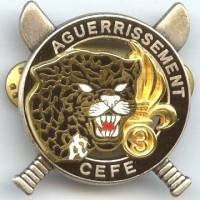 3° REI / Brevet d'...