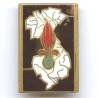 5° Régiment Etranger d'Infanterie , carte d'Indochine blanche, gros 5, éclats d' émail