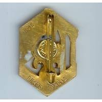 6° Régiment Etranger d'Infanterie , colonnes, doré (pour officiers), retirage 76