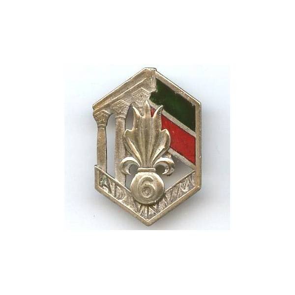 6° Régiment Etranger d'Infanterie , colonnes, argenté, dos lisse, sans attache