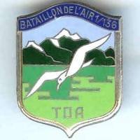 Bataillon de l' Air 1 / 136 TOA Bremgarten, eau verte