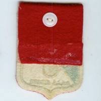 Légion Etrangère  A.A.L.E. Aubagne, tissu 58x85