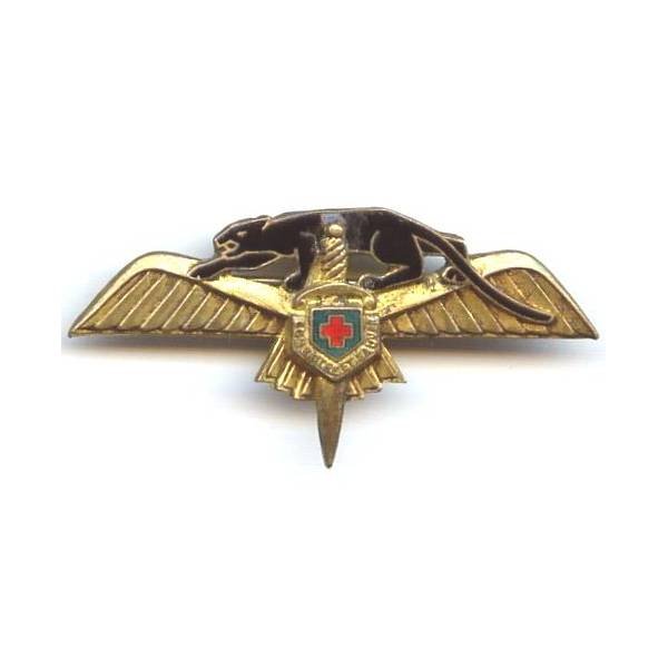 2° Escadre d' Hélicoptères  Oran , panthère noire, dos vaguelé doré, matriculé