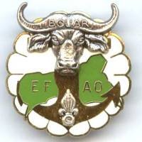 EFAO Bouar RCA , tête de...