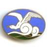 Albatros (contre-torpilleur 1931-60), ovale