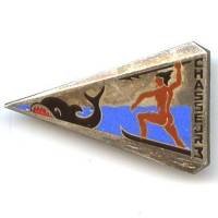 Chasseur de Sous-Marins n°...