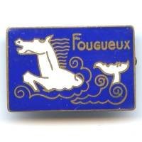 Fougueux (torpilleur...