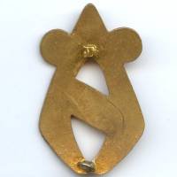 50° / 22° Cie Hippomobile de QG, manque l' épingle