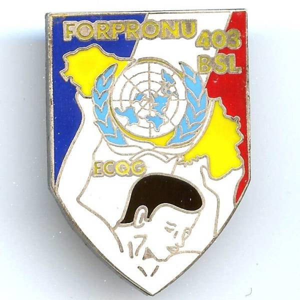 403° BSL FORPRONU / ECQG