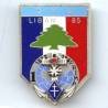 1° RIMA / ONU Liban 85