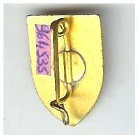 2° Division de Marche du Tonkin, miniature 14 x 20