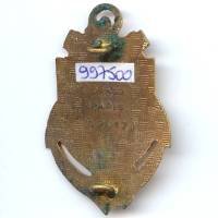 24° Rgt d'Infanterie de Marine , tête de panthère, lettres relief, émail