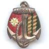 43° Rgt d'Infanterie Coloniale , 9 palmes, dos lisse