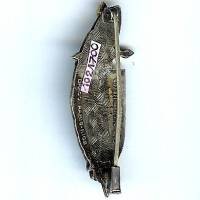 En argent , Compagnie de Commandement Zône Ouest Nord Vietnam, rayures