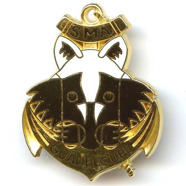 Rgt du SMA de Guadeloupe, raccon