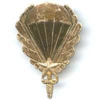 Gpt de Commandos Mixtes...