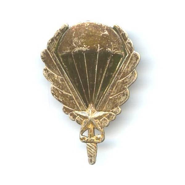 Gpt de Commandos Mixtes Aéroportés, retirage US