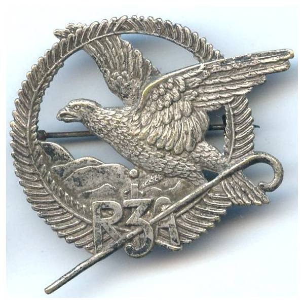 3° Régiment d'Infanterie Alpine , aigle posé aux ailes déployées, rond, tout métal