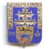 110° Rgt d' Infanterie, émail, dos lisse, 2 pastilles Drago