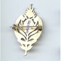 Anciens Combattants du "157° L' Alpine"