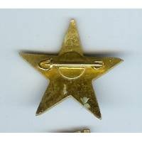 159° Régiment d'Infanterie Alpine / Section d'Eclaireurs Skieurs , chiffres épais, bombé, 31 mm