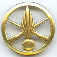 Insigne de bérêt de l'...