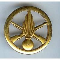Insigne de bérêt de l'...