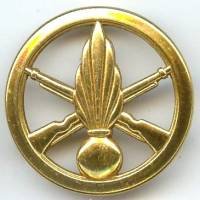 Insigne de bérêt de l'...