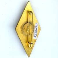 6° Section d' Infirmiers Militaires, losange