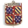8° SIM Lyon Caluire, armes de Bourgogne, pastille DPN