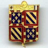 8° SIM Lyon Caluire, armes...