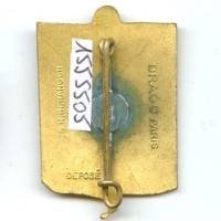 8° SIM Lyon Caluire, armes de Bourgogne, dos oxydé