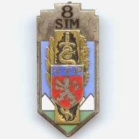 8° SIM Lyon Caluire, armes...