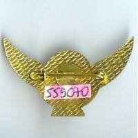 Association Nationale des Secouristes Parachutistes de l'Air