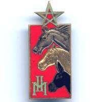 Haras du Maroc
