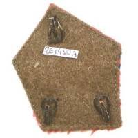 453° GAA / 3° DIA, patte de col, mité