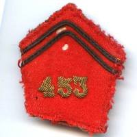 453° GAA / 3° DIA, patte de col, mité