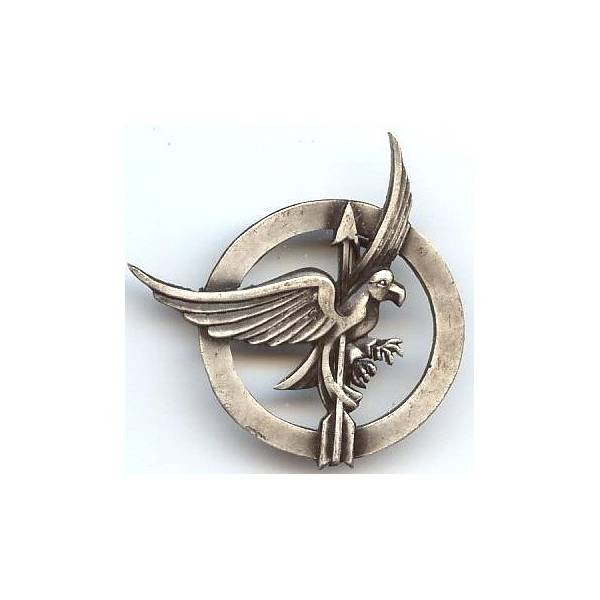 Défense Contre Aéronefs , aigle transpercé d' une flèche dans cercle d 33